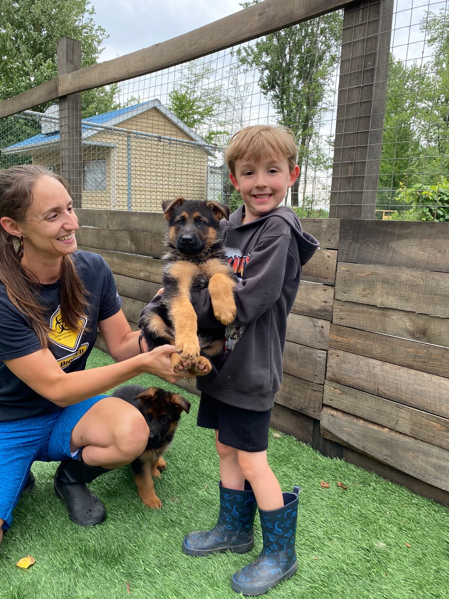 Chiot Berger Allemand
