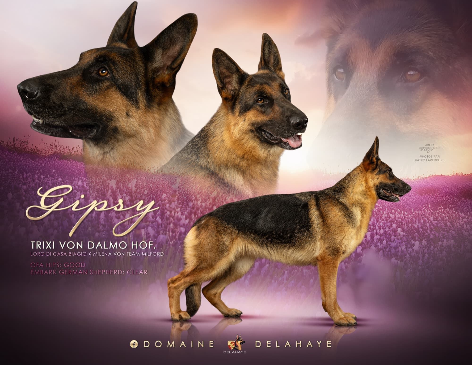 Gipsy en extérieur