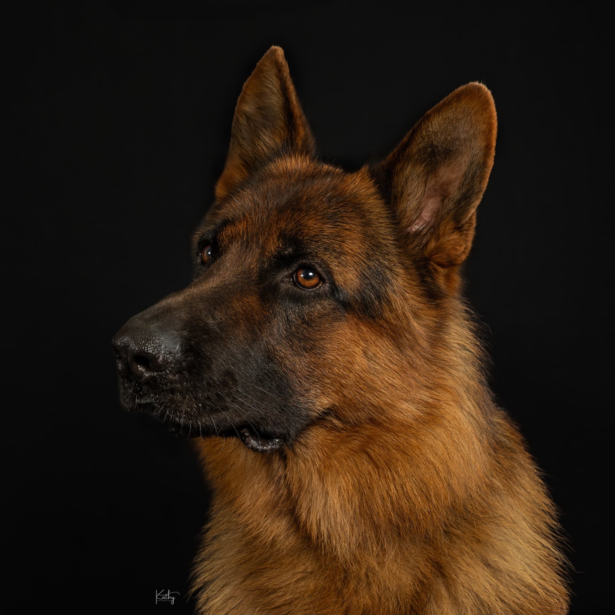 Portos - portrait studio