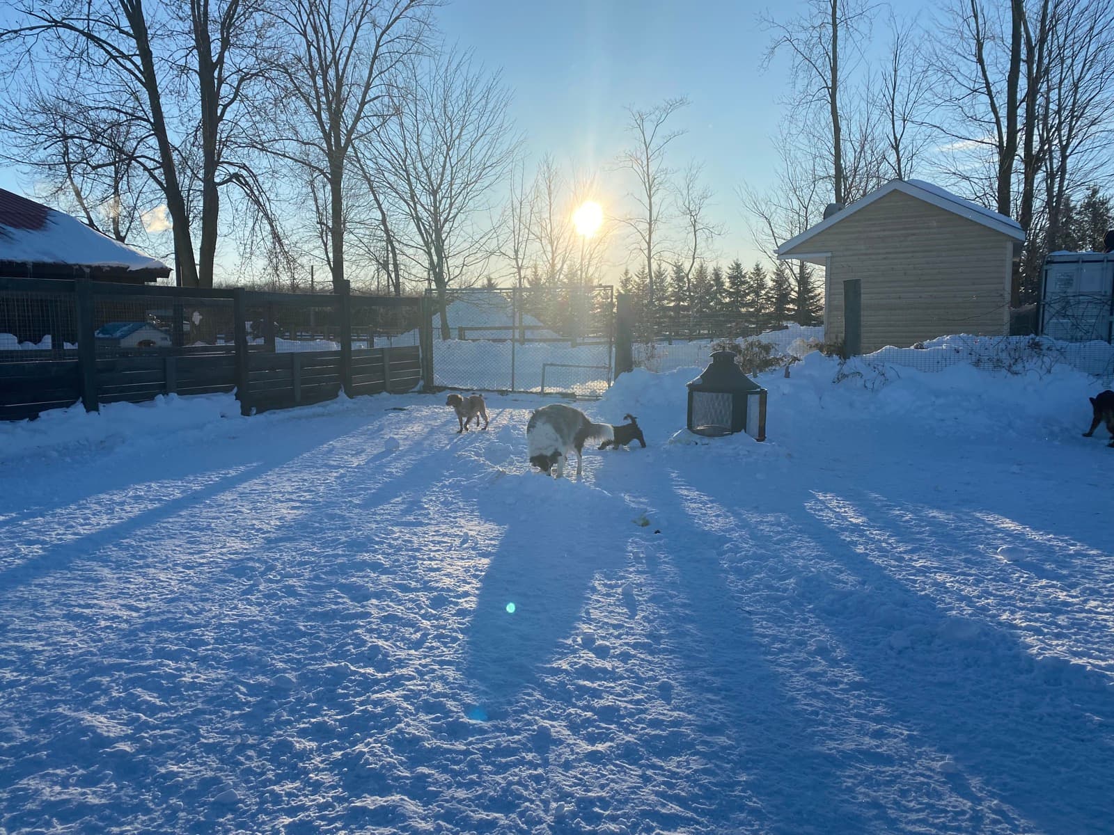 Enclos extérieurs au coucher de soleil l'hiver