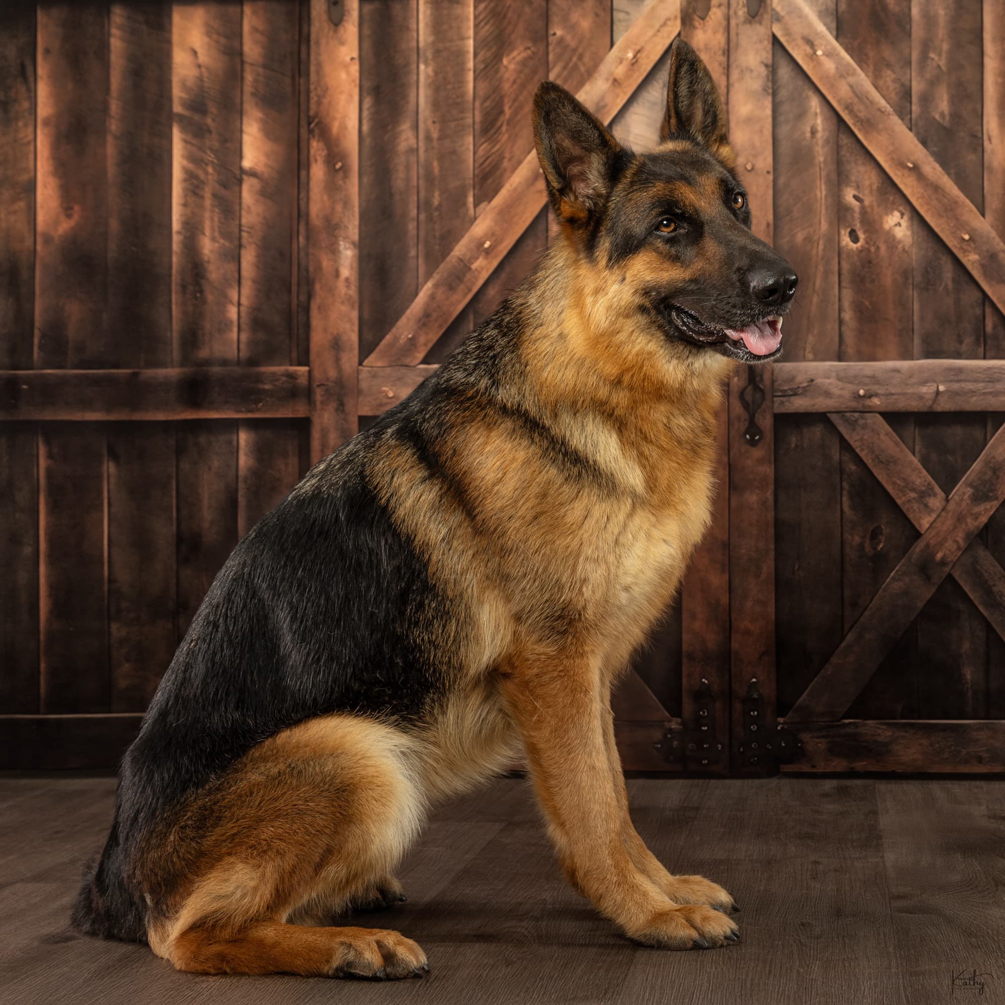 Trixi Von Dalmo Hof