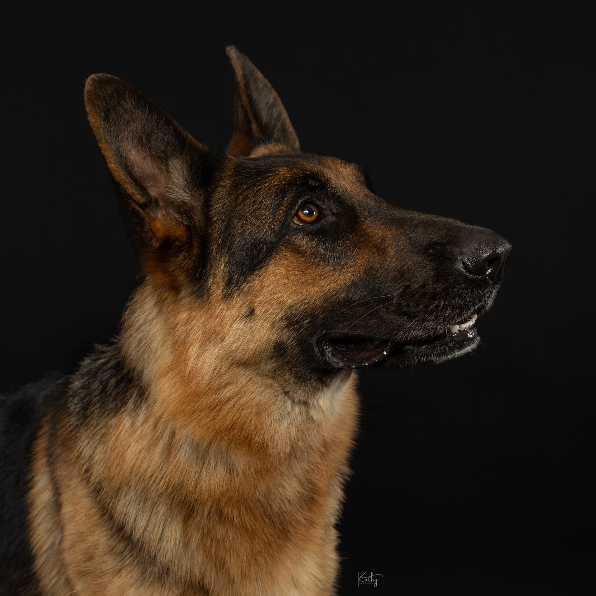 Our breeding philosophy