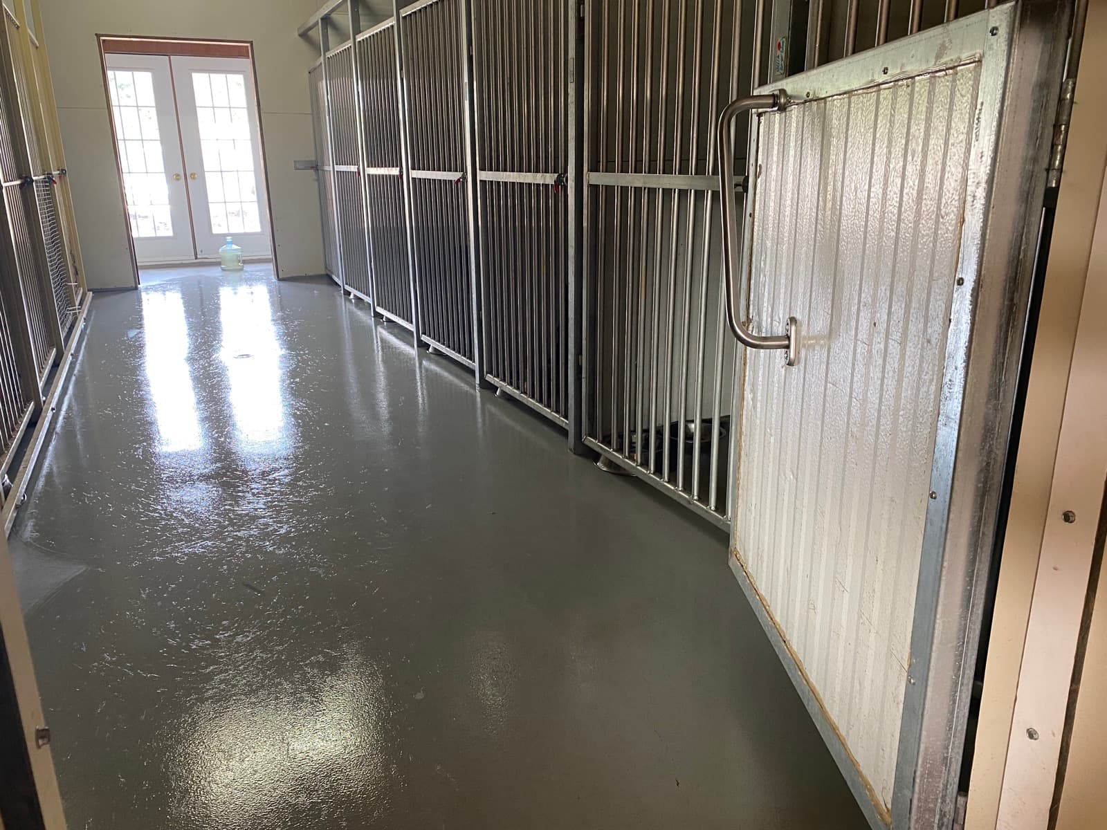 Dog boarding